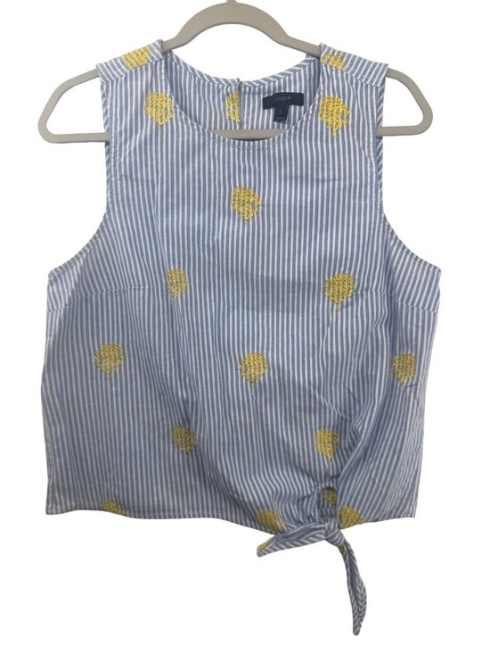 J.Crew Tops - J.Crew Womens Top Sz 12 Blue Striped Pineapple Seersucker Preppy Beachy Classic